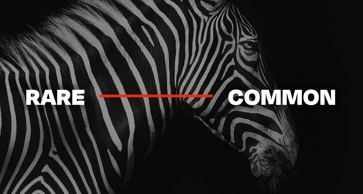 Zebra was the start—it’s time to reveal the zeals